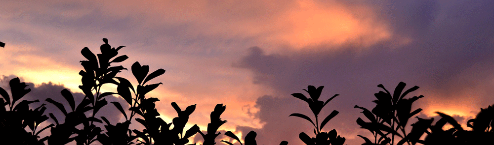Sommerabend Aktion