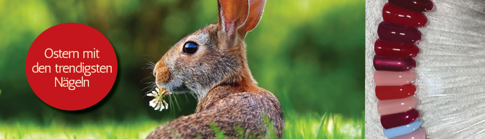 Ostern bei Enjoy your nails